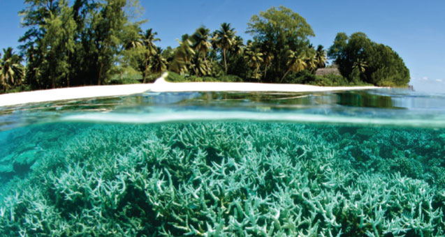 New Report Exposes Climate Finance Failures, Calls for Urgent Investment Migration Solutions