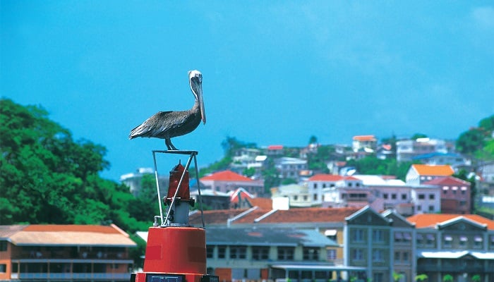 Новый вариант инвестиций в программе Гренады