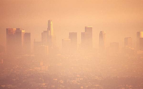 Migration — Adaptation to the Great Climate Challenge