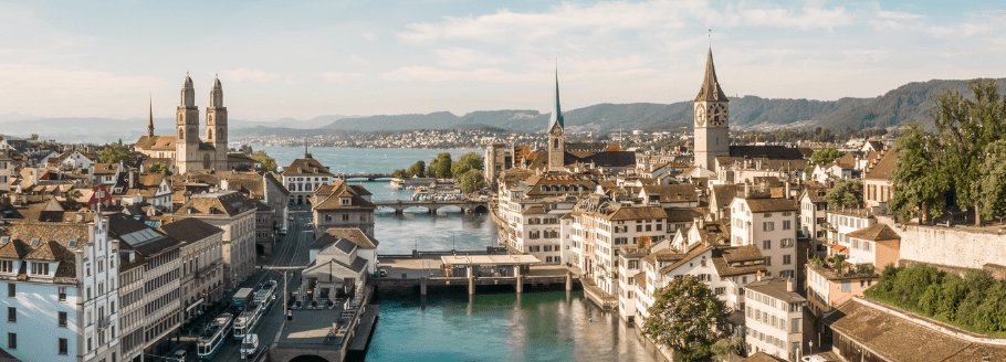 Chinese New Year Luncheon in Zurich