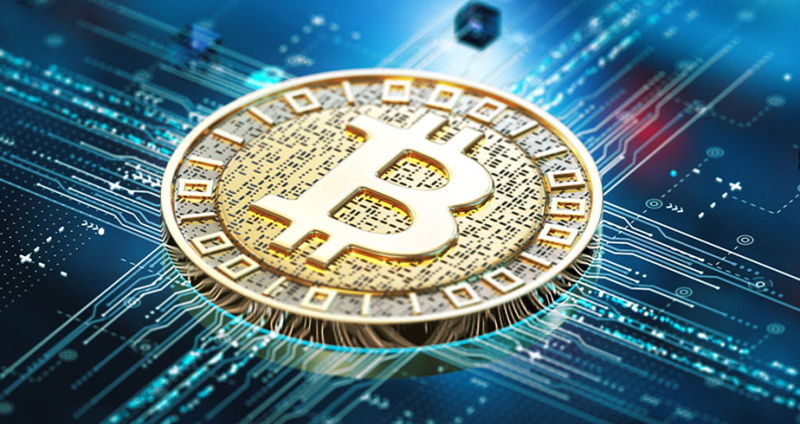 Отчет о криптобогатстве 2025: Число криптомиллионеров превысило отметку в четверть миллиона