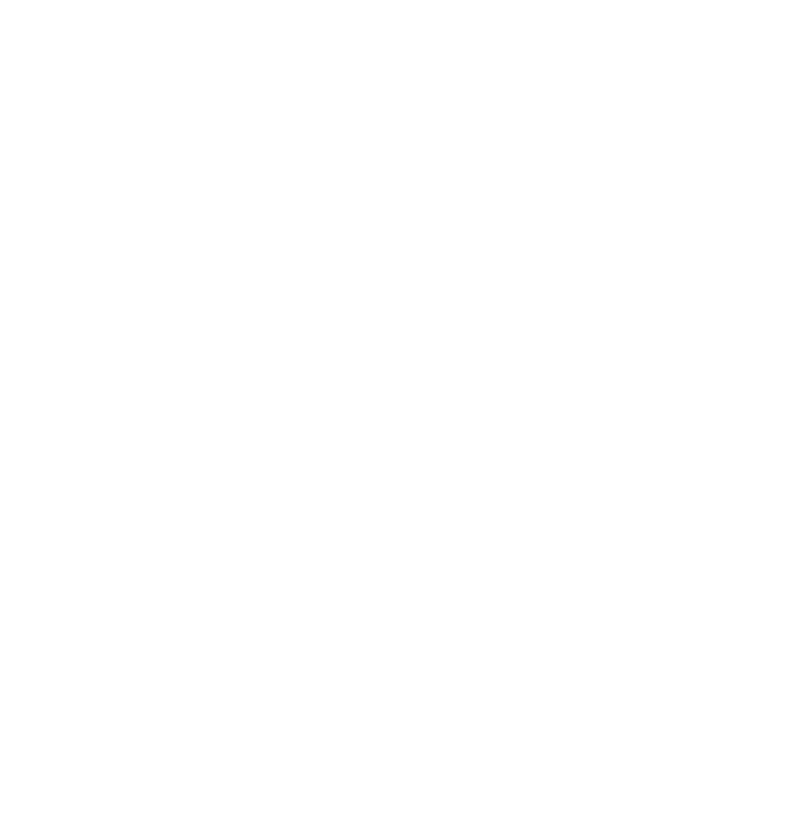 Dr. Carol Nelson is a Senior Lecturer in the Department of Government at the University of the West Indies, Mona. She...